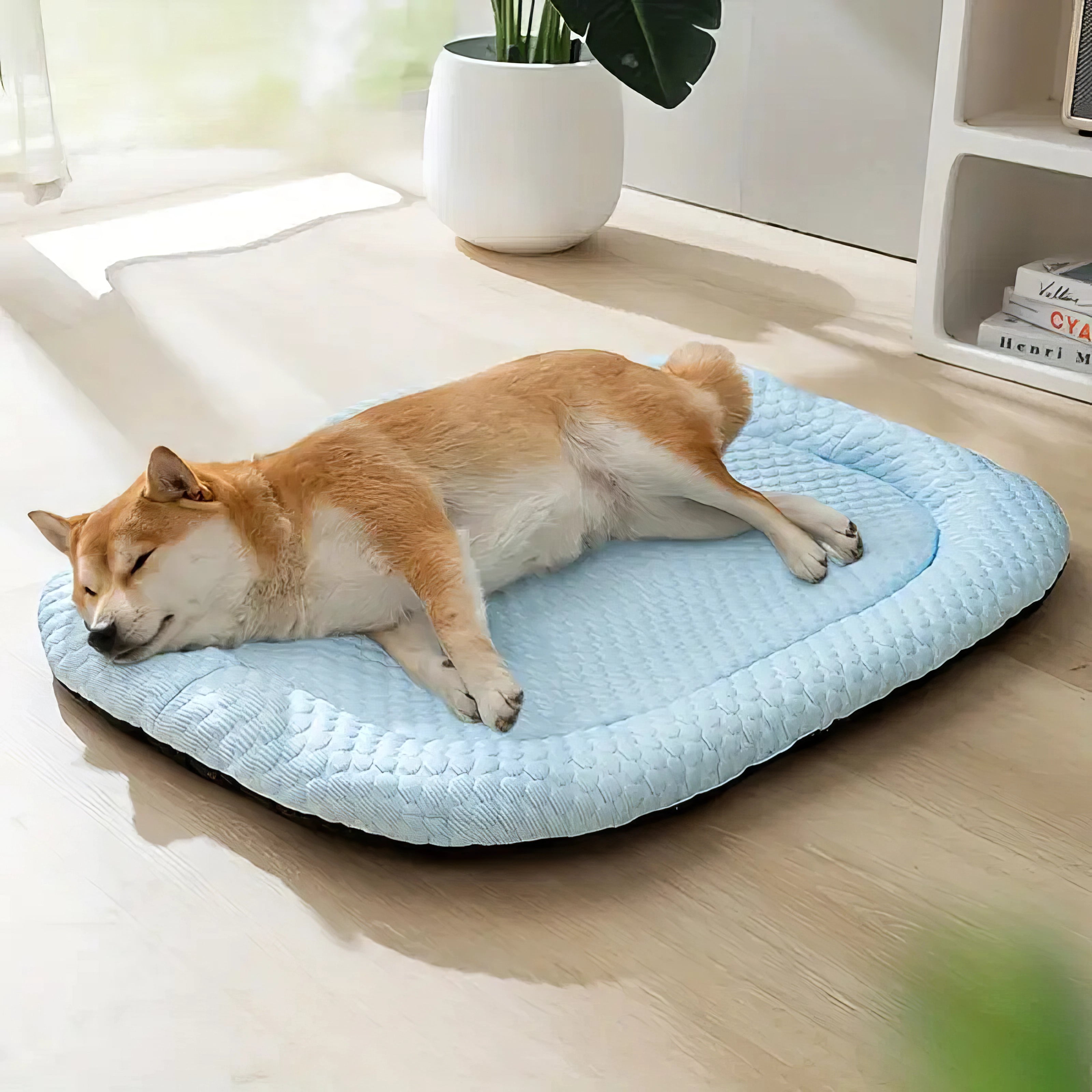 Comfort Dog Bed