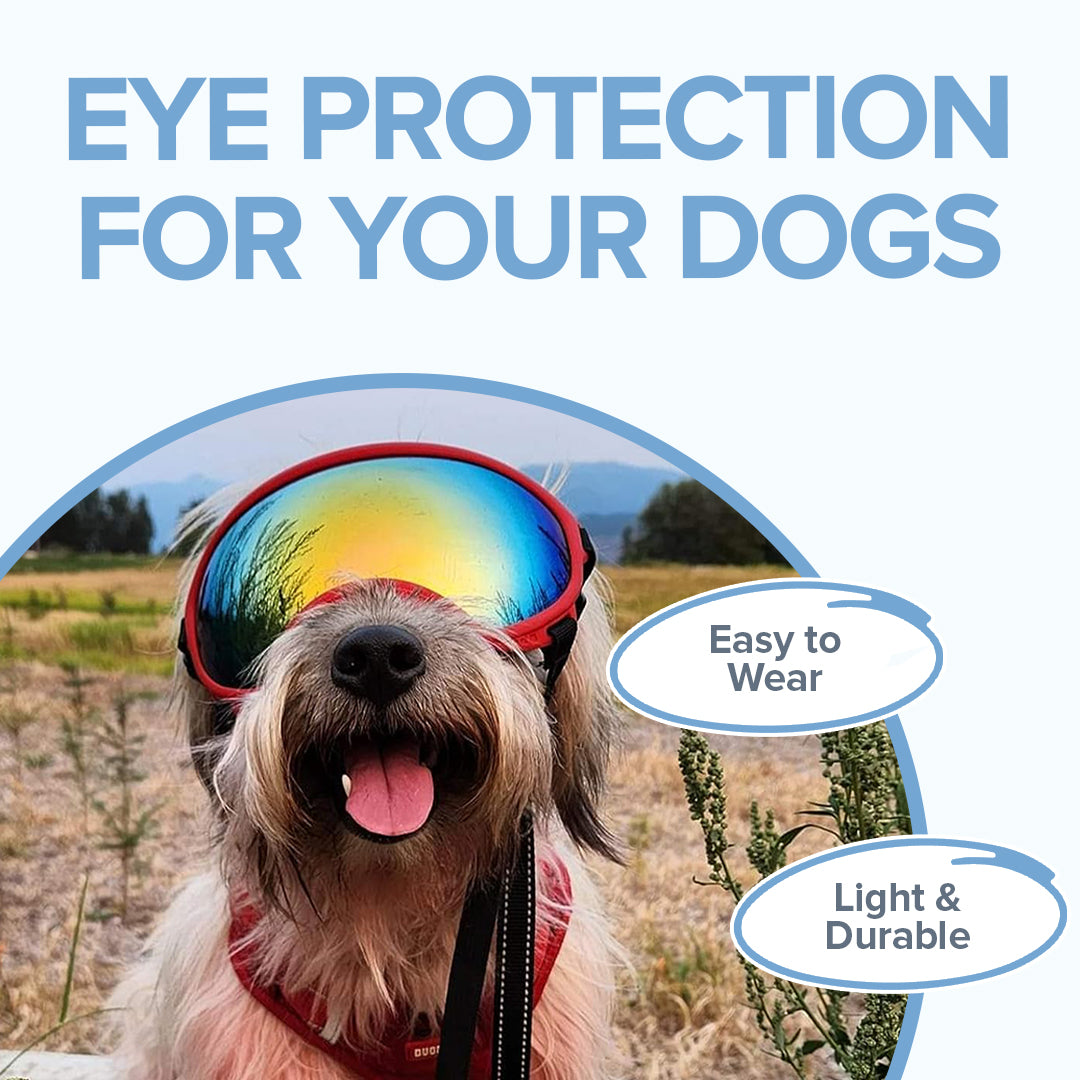 PupShield Dog Goggles