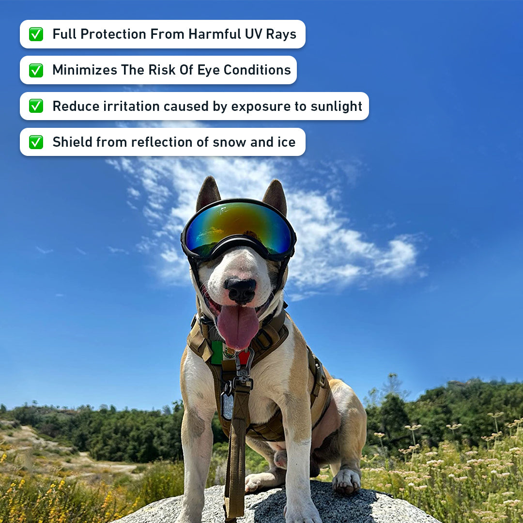 PupShield Dog Goggles